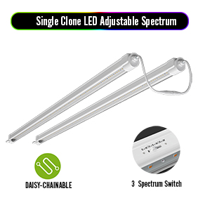 Adjustable Spectrum Single Clone