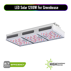 LED Solar 1200W